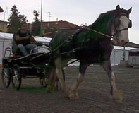 il nostro stand