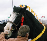 Farholme Prince William