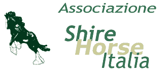 logo e titolo: associazione shire horse italia
