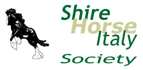 logo e titolo: associazione shire horse italia